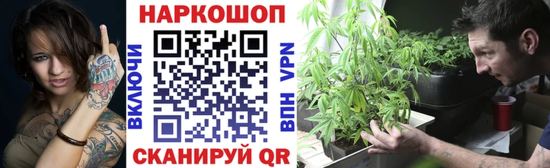 Лсд 25 Райчихинск