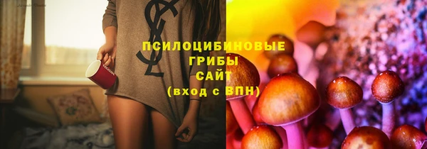 стафф Абаза