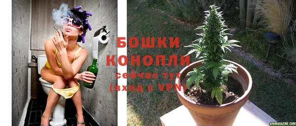 бошки Абинск