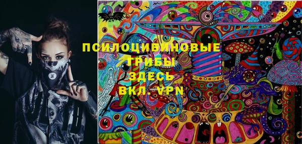 бошки Абинск